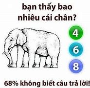 Đố Vui Iq Có Đáp An