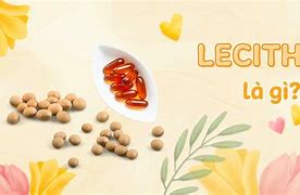 Lecithin Là Gì