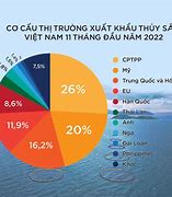 Top 10 Doanh Nghiệp Xuất Khẩu Cá Tra 2022 Việt Nam Là Ai