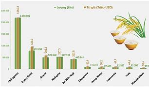 Xuất Khẩu Gạo Việt Nam Wiki 2024 Là Bao Nhiêu Tiền